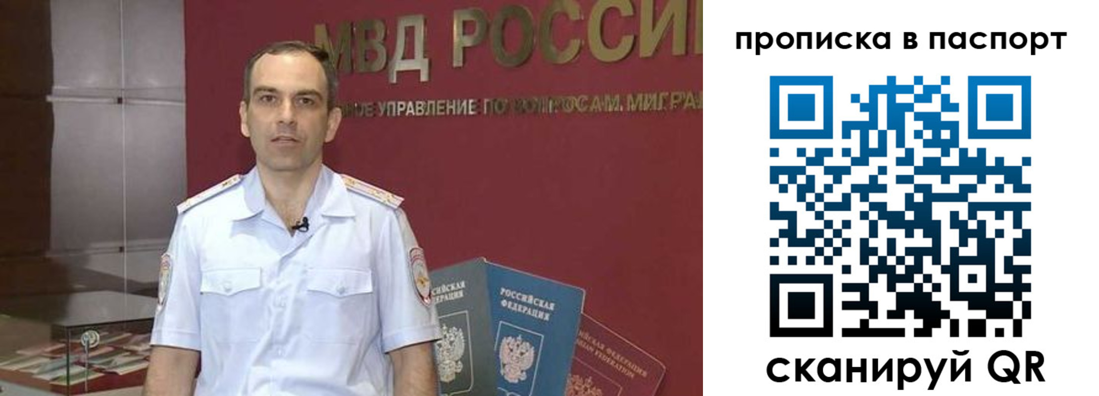 прописка поиск в Волгодонске
